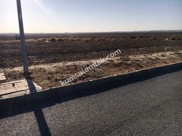 2 EVLEK 1400 SEK LAND FOR SALE IN NICOSIA GÖNYELİ/YENIKENT 150.000 STG