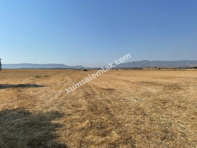 Land of 26255.75 m2 for sale in Famagusta Geçitkale