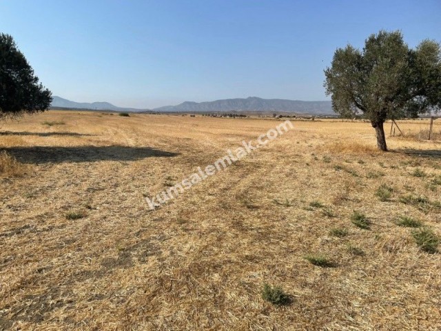 Land of 26255.75 m2 for sale in Famagusta Geçitkale