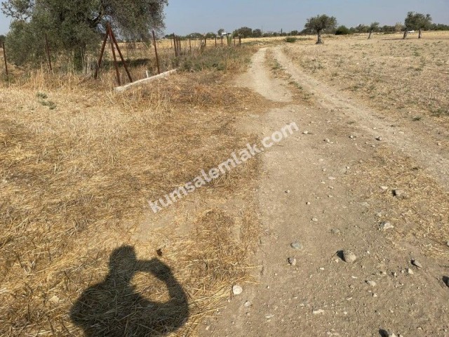 Land of 26255.75 m2 for sale in Famagusta Geçitkale