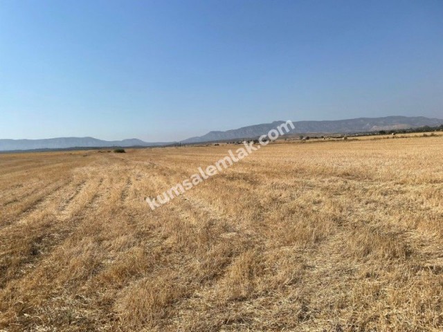 Land of 26255.75 m2 for sale in Famagusta Geçitkale