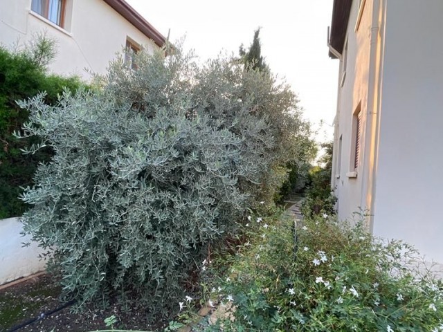 Einfamilienhaus Kaufen in Alsancak, Kyrenia