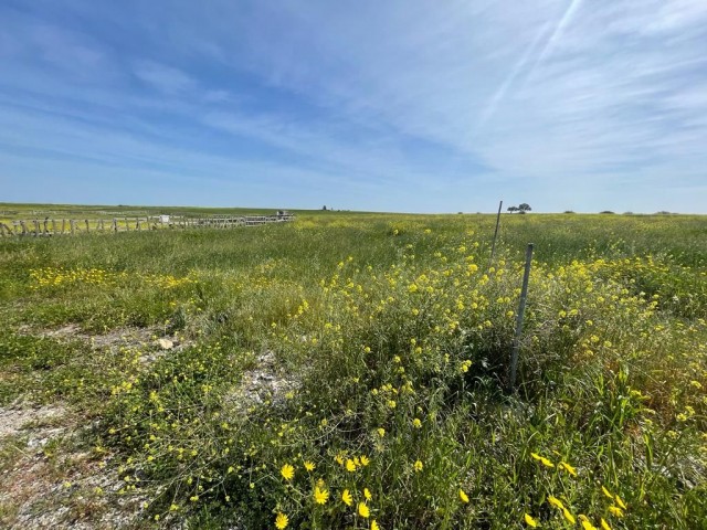 منطقه مسکونی برای فروش in Meriç, نیکوزیا