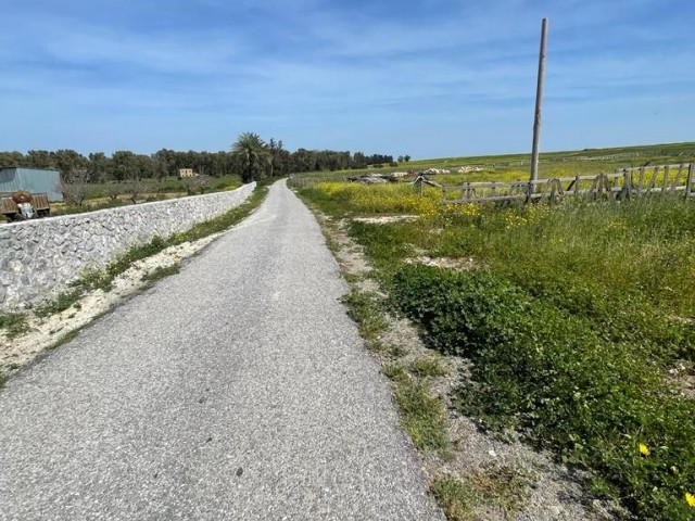 LAND FOR SALE IN MERICLI LEFKOŞA