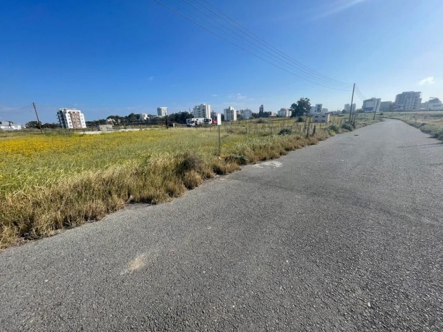 LAND FOR SALE ON THE MAIN ROAD IN CUSA REGION