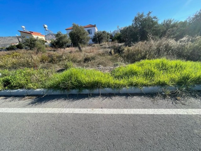 TÜRKISCHES GRUNDSTÜCK ZUM VERKAUF IN GIRNE AĞIRDAĞ