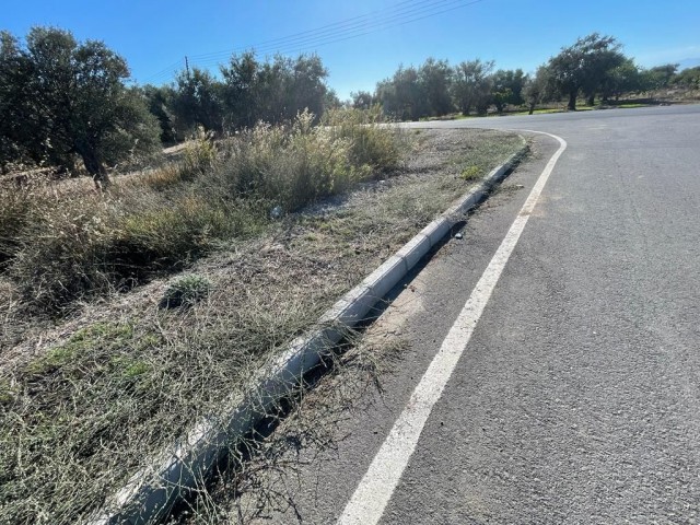 GİRNE BOĞAZDA SATILIK  TÜRK MALI ARSA