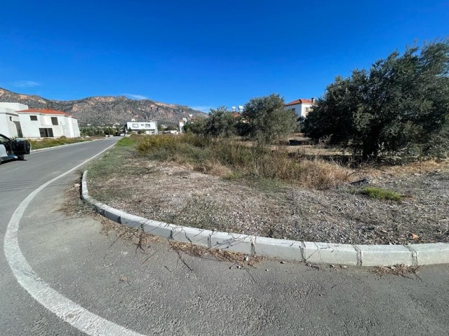 TURKISH LAND FOR SALE IN GIRNE AĞIRDAĞ