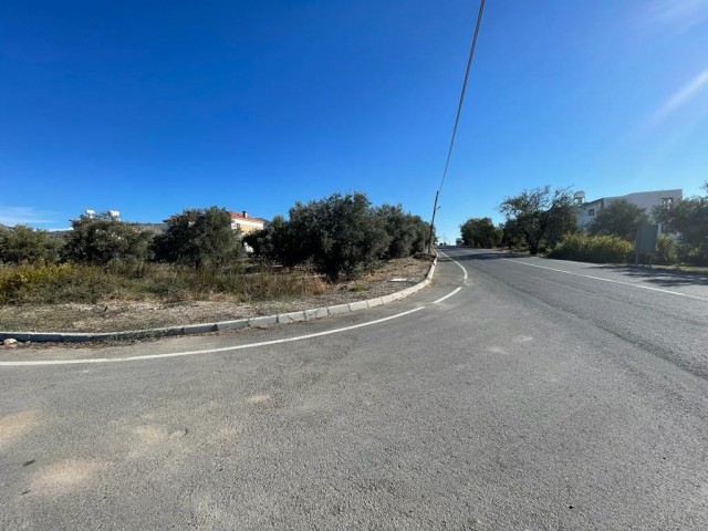 TURKISH LAND FOR SALE IN GIRNE AĞIRDAĞ