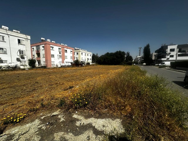 LAND FOR RENTAL IN YENIKENT REGION SUITABLE TO BE A GALLERY WITH MONTHLY PAYMENT