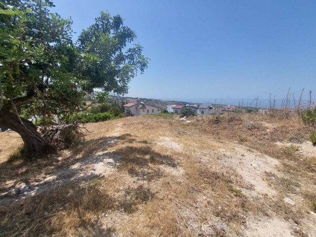 Land for Sale with Magnificent View in Girne Arapköy