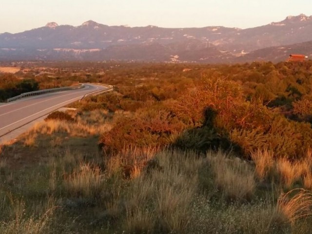 Feld Kaufen in İskele Merkez, Iskele