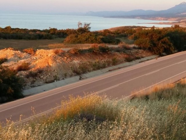 رشته برای فروش in İskele Merkez, ایسکله