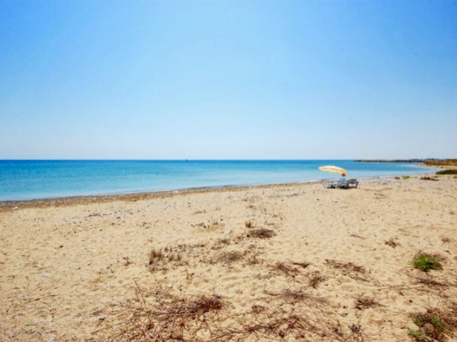 2+1 apartm. 50 m. from the sea, fully furnished, Ready Title. 