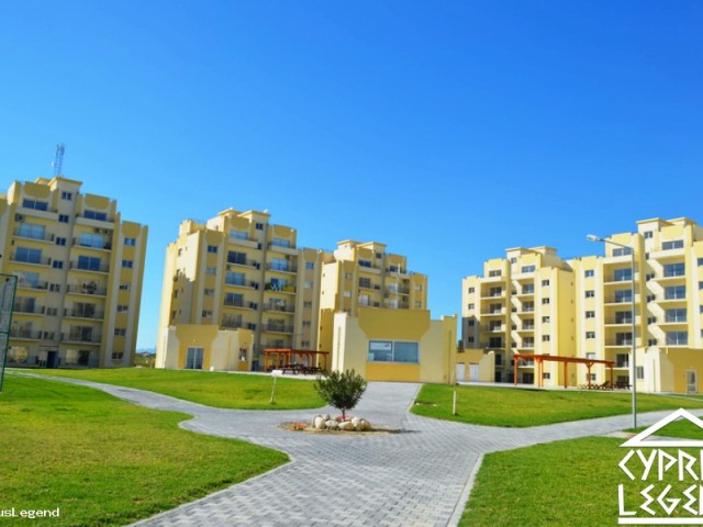 BARGAIN 1 bedroom ready apartment, close to Sea, shops, etc, communal pool. Ready Title deeds. 