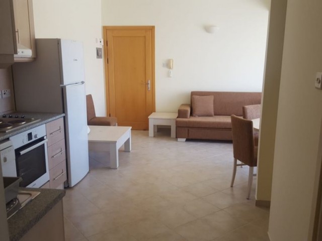 1 bedroom apartment for long term rental in Bogaz, monthly payments