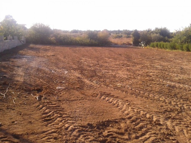  Arazi arsa inşaat izni ile tamamlandı.