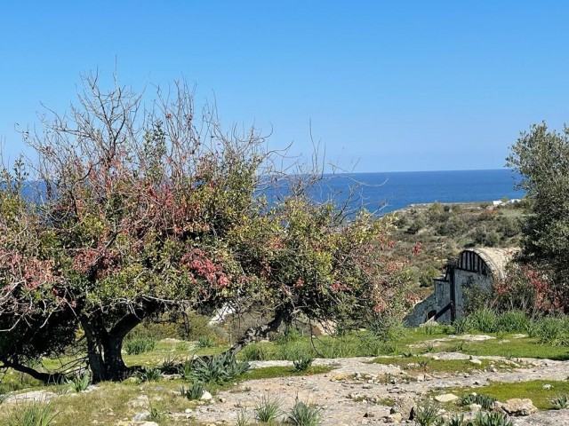 10 Donum Plot of Land in Bahceli