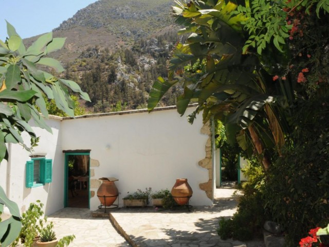 7 Bedroom Mini-Estate in the Heart of Karmi.