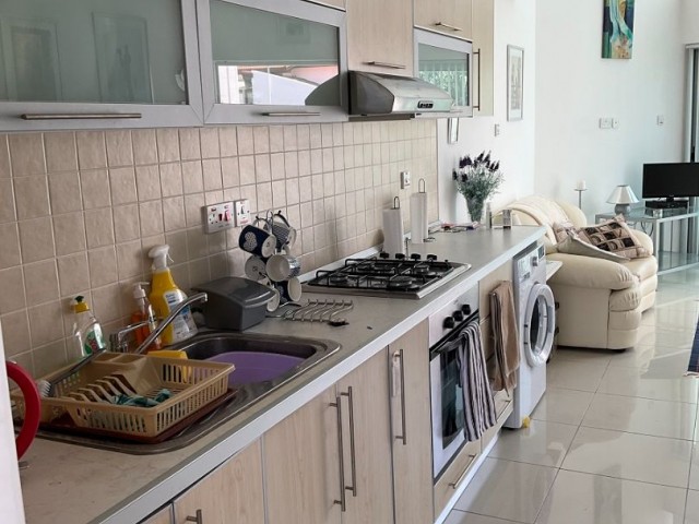 1 Bedroom Apartment in Kervansaray