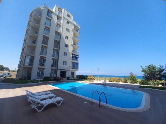 3+1 sea view apartment in Gülseren area!