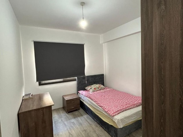2+1 clean apartment available for rent in June