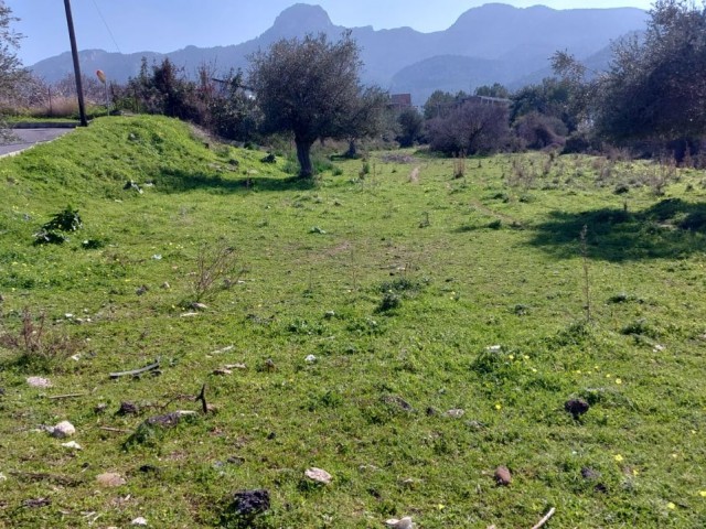 3.707 m2 Grundstück im Zentrum von chatalköy ** 