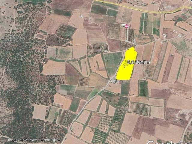 6.5 acres of land in a Mediterranean village within walking distance of the sea ** 