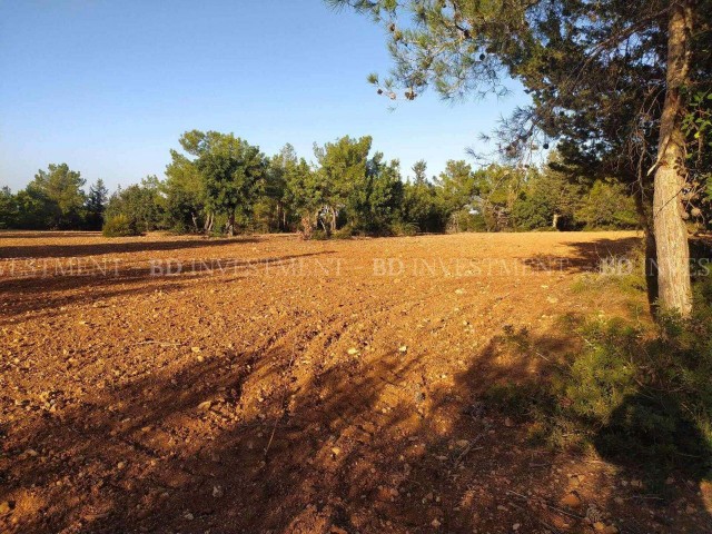 Investment Opportunity Land in Yeni Erenköy