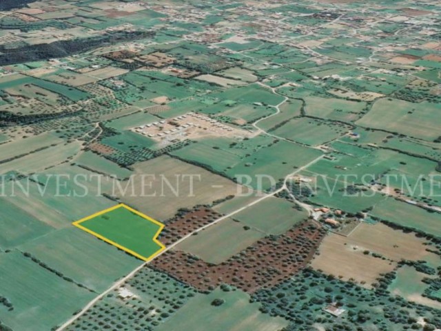 10 Acres of Land with Zoning and Official Road in Dipkarpaz