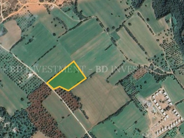 10 Acres of Land with Zoning and Official Road in Dipkarpaz