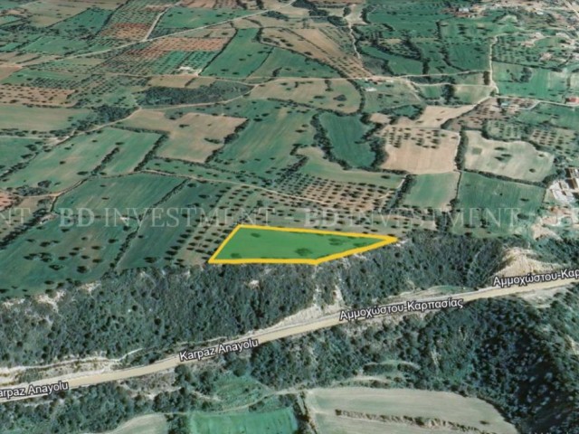 8363 m² Plot Open to Development in Dipkarpaz