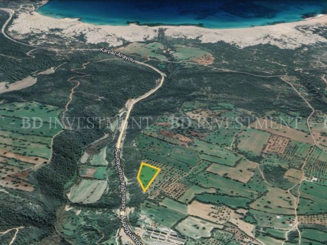 8363 m² Plot Open to Development in Dipkarpaz