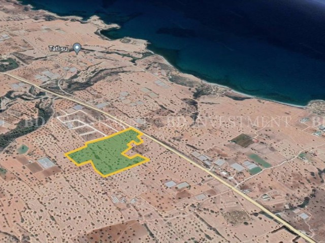 43 Acres of Zoned Land with Sea View, 650 Meters to the Beach in Tatlısu