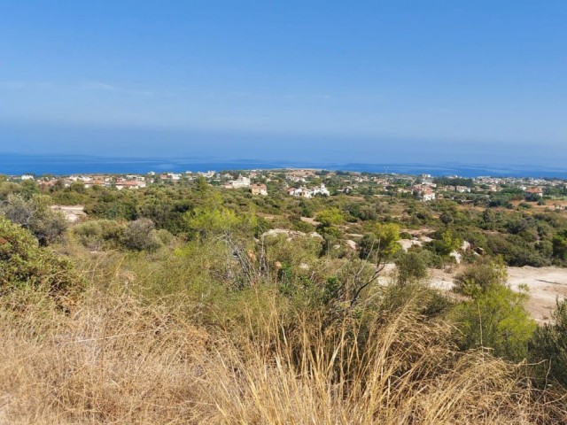 Land with Turkish Cob