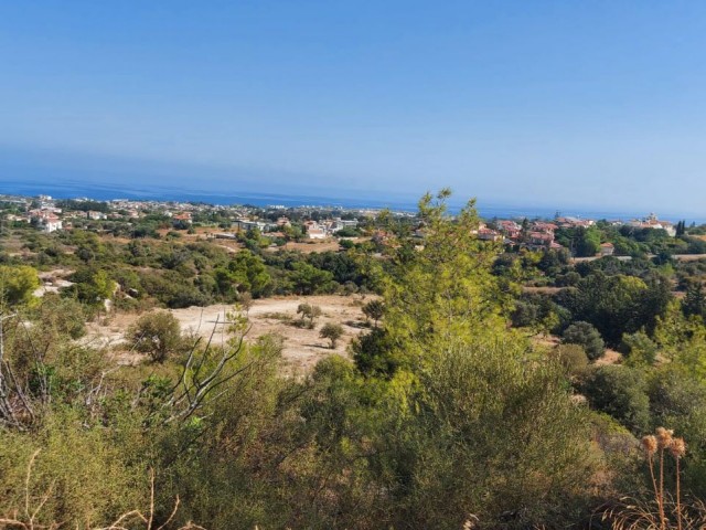 Land with Turkish Cob