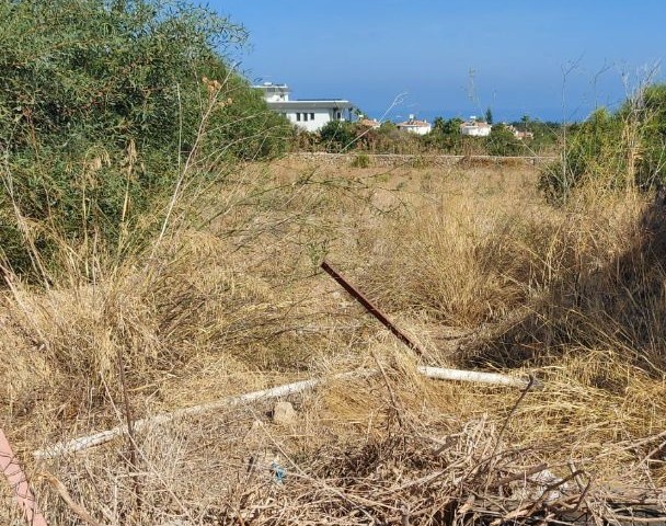 Land with Turkish Cob