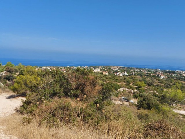 Land with Turkish Cob