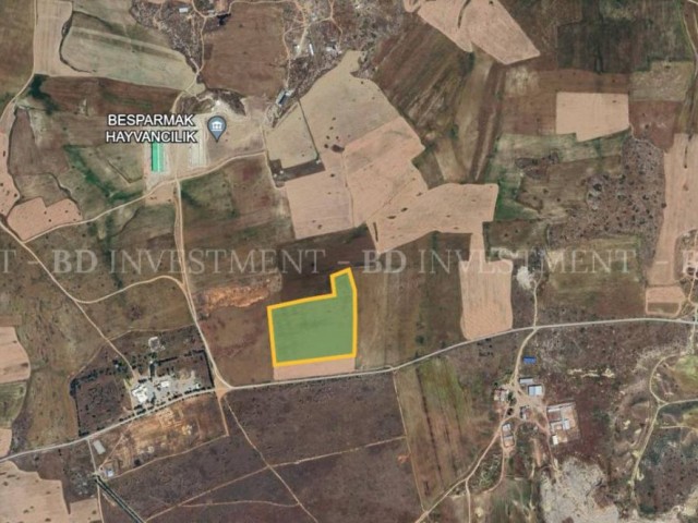 34.379 m² Field in Demirhan