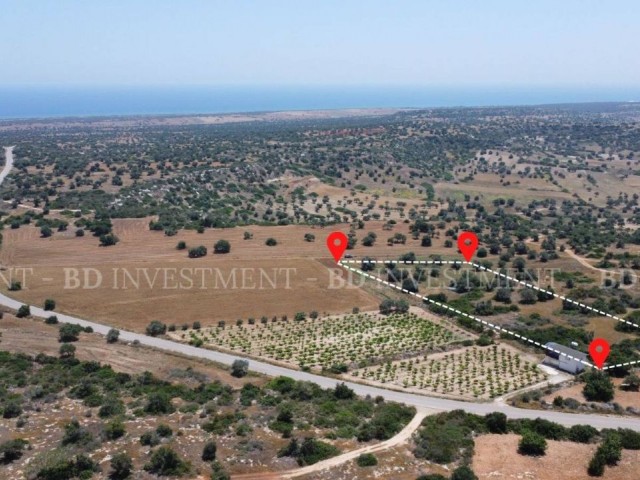 6.145 m² Land for Investment in Kumyalı