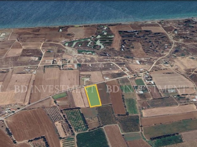 Opportunity Land of 6 Acres, 700 Meters to Gaziveren Beach