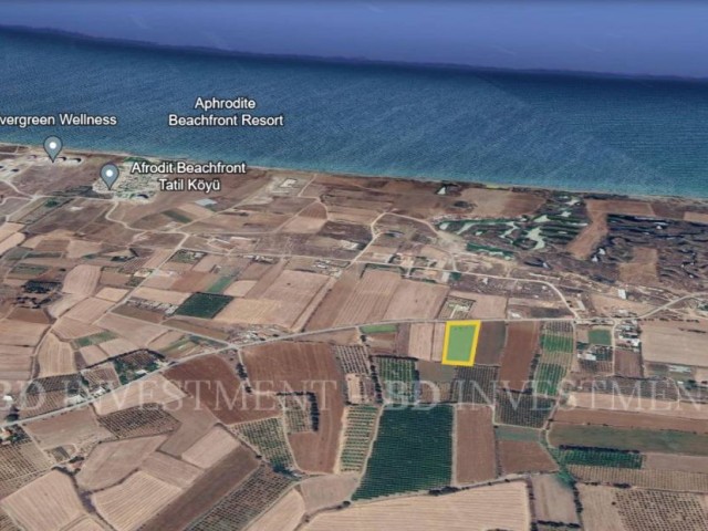 Opportunity Land of 6 Acres, 700 Meters to Gaziveren Beach