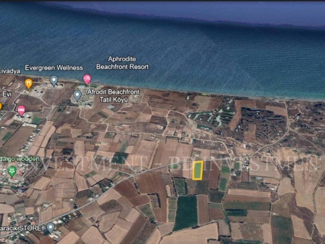 Opportunity Land of 6 Acres, 700 Meters to Gaziveren Beach