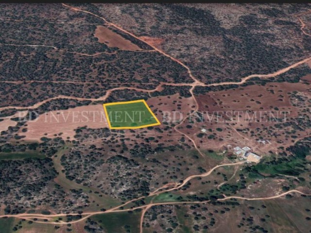 10 Acres of Field for Investment in Akdeniz Village