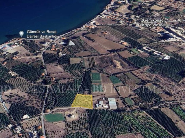 Denize 500 Metre Mesafede 5956 m² Fırsat Arsa