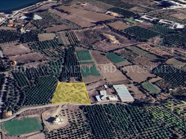 5956 m² Opportunity Land 500 Meters from the Sea