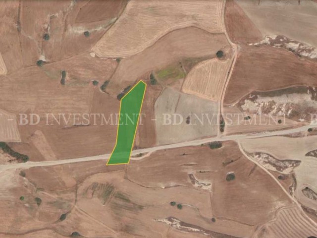 5782 m² Land for Investment in Kılıçaslan