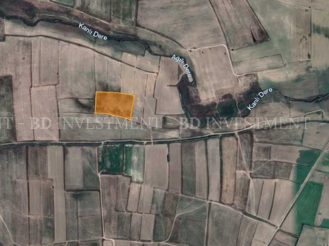 Investment Opportunity in Meriç 10.878 m² Field