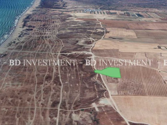 Güzelyurt/Yayla 8.375 m² Land 400 Meters to the Beach