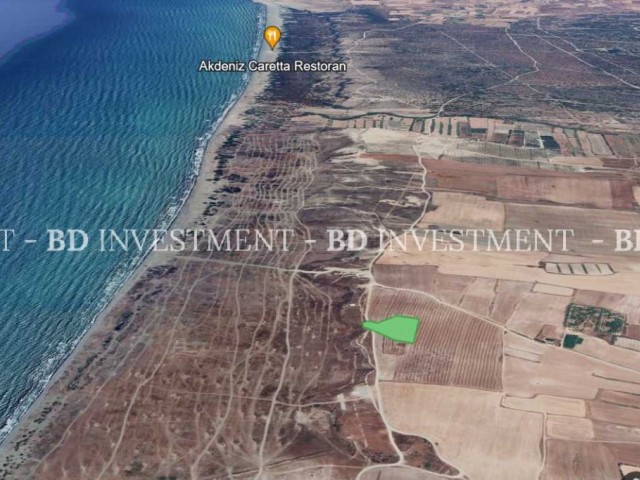 Güzelyurt/Yayla 8.375 m² Land 400 Meters to the Beach